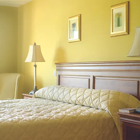 Appartamento Adare Manor &