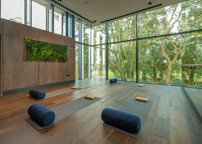 Апартаменты Adare Manor &