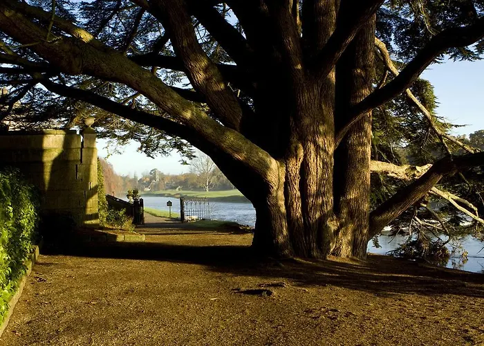 Апартаменты Adare Manor & Лимерик